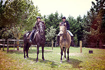 Boutique Horse Treks, Clive, New Zealand. Natural Horsemanship.