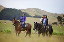 Boutique Horse Treks, Clive, New Zealand. Natural Horsemanship.