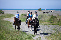 Boutique Horse Treks, Clive, New Zealand. Natural Horsemanship.