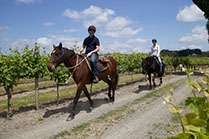 Boutique Horse Treks, Clive, New Zealand.