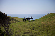 Boutique Horse Treks, Clive, New Zealand. Natural Horsemanship.