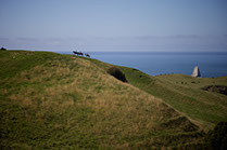 Boutique Horse Treks, Clive, New Zealand. Natural Horsemanship. Cape Kidnappers