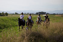 Boutique Horse Treks, Clive, New Zealand. Natural Horsemanship.