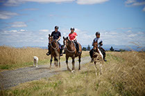 Boutique Horse Treks, Clive, New Zealand. Natural Horsemanship.