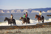 Boutique Horse Treks, Clive, New Zealand.