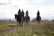 Boutique Horse Treks, Clive, New Zealand. Natural Horsemanship.