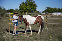 Boutique Horse Treks, Clive, New Zealand. Natural Horsemanship.