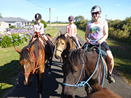 Boutique Horse Treks, Clive, New Zealand. Clearview Winery, Te Awanga