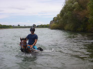 Boutique Horse Treks, Clive, New Zealand. Clearview Winery, Te Awanga