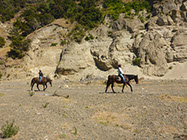 Boutique Horse Treks, Clive, New Zealand. Clearview Winery, Te Awanga