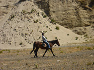 Boutique Horse Treks, Clive, New Zealand. Clearview Winery, Te Awanga