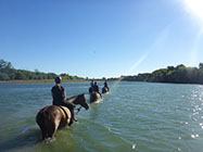 Boutique Horse Treks, Clive, New Zealand. Clearview Winery, Te Awanga