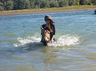 Boutique Horse Treks, Clive, New Zealand. Clearview Winery, Te Awanga