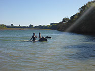 Boutique Horse Treks, Clive, New Zealand. Clearview Winery, Te Awanga