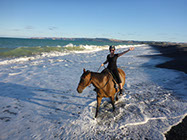 Boutique Horse Treks, Clive, New Zealand. Clearview Winery, Te Awanga