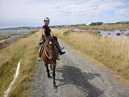 Boutique Horse Treks, Clive, New Zealand. Clearview Winery, Te Awanga
