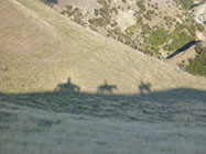Boutique Horse Treks, Clive, New Zealand. Clearview Winery, Te Awanga