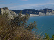Boutique Horse Treks, Clive, New Zealand. Clearview Winery, Te Awanga
