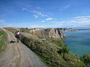 Boutique Horse Treks, Clive, New Zealand. Clearview Winery, Te Awanga