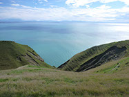 Boutique Horse Treks, Clive, New Zealand. Clearview Winery, Te Awanga
