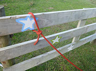Boutique Horse Treks, Clive, New Zealand. Clearview Winery, Te Awanga